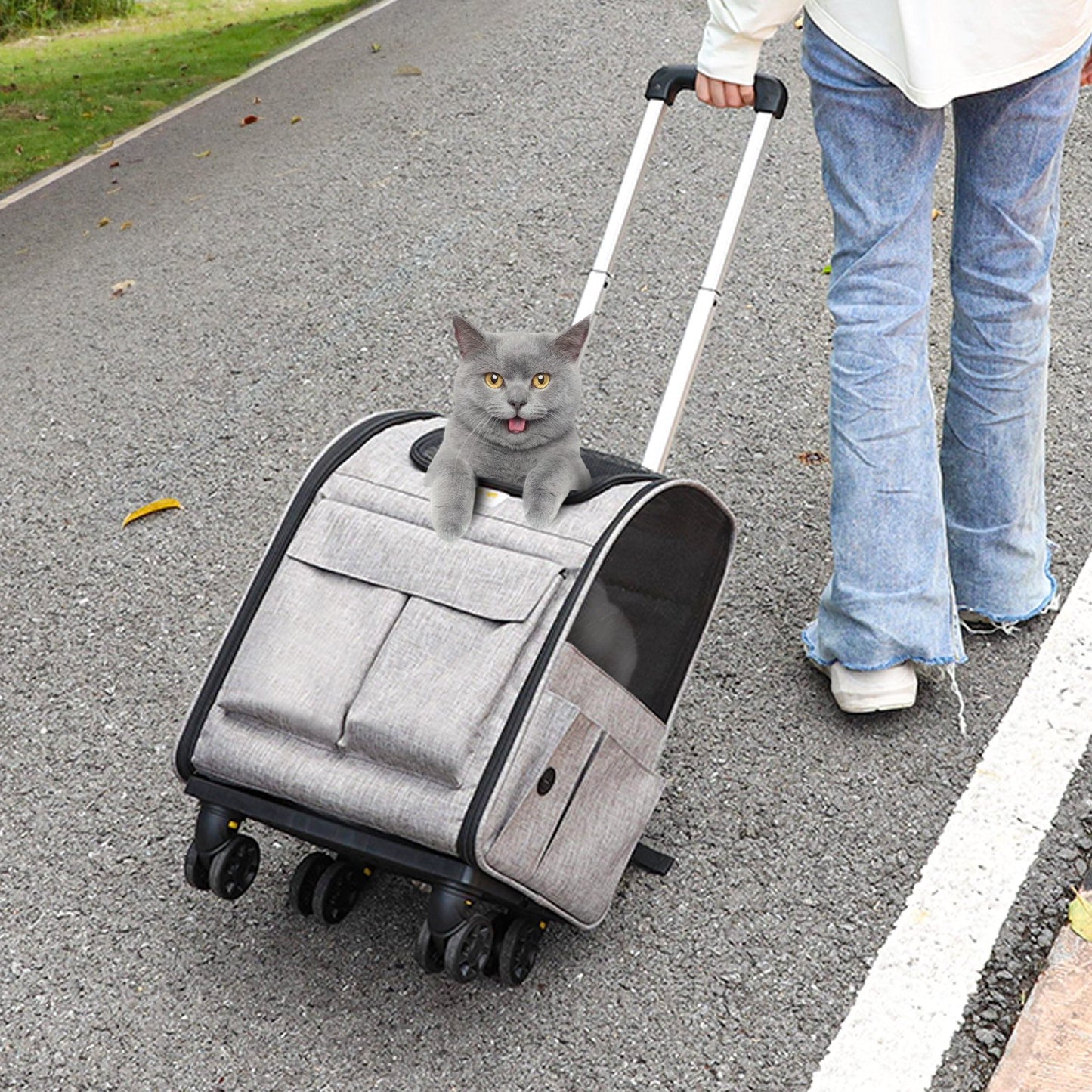 Rolling Pet Carrier Backpack with Wheels