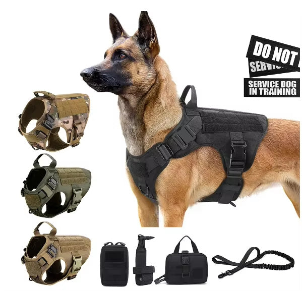Camouflage Dog Harness & Leash Set