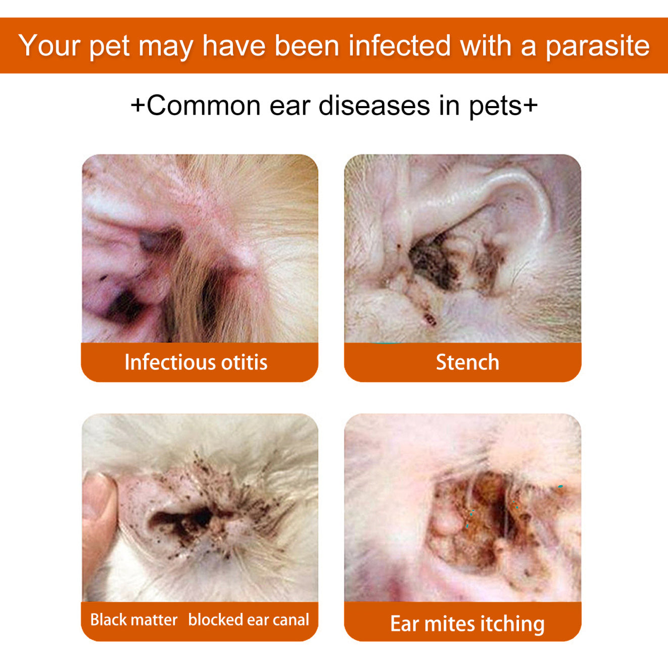 Gentle Ear Wipes for Pets