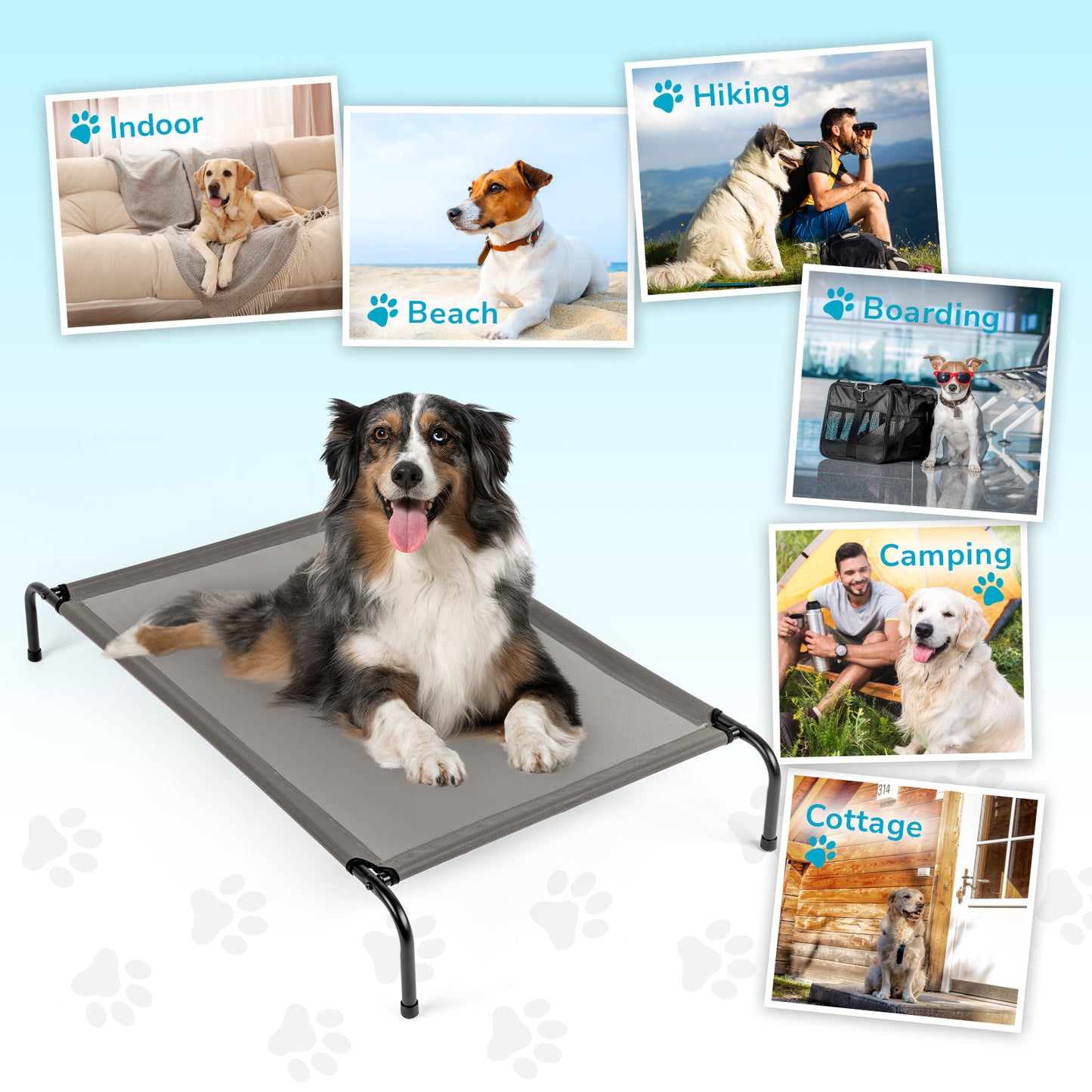Cozy Pet Bed
