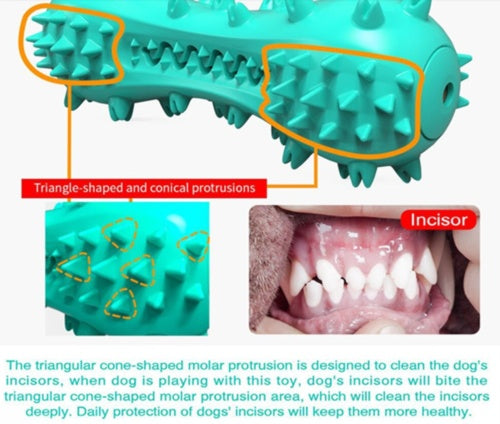 Rubber Molar Stick Chew Toy for Dogs