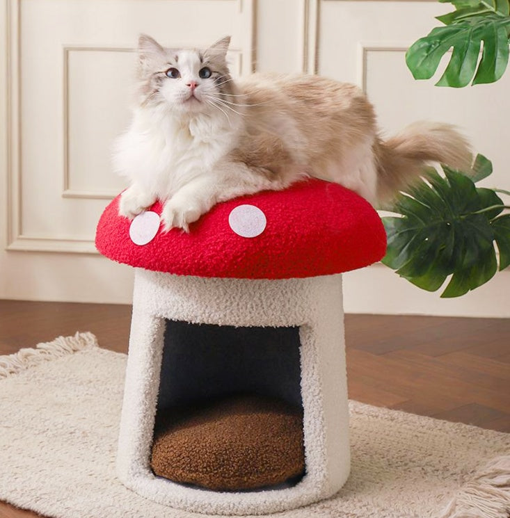 Red Umbrella Mushroom Cat Bed
