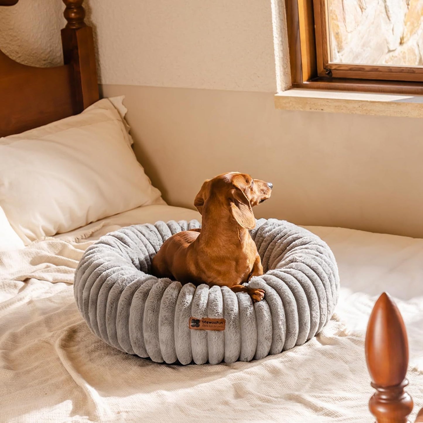 Donut Cat Bed
