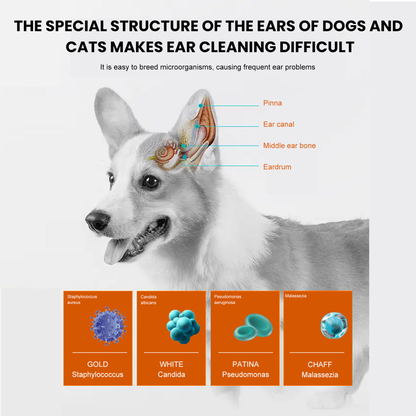 Gentle Ear Wipes for Pets