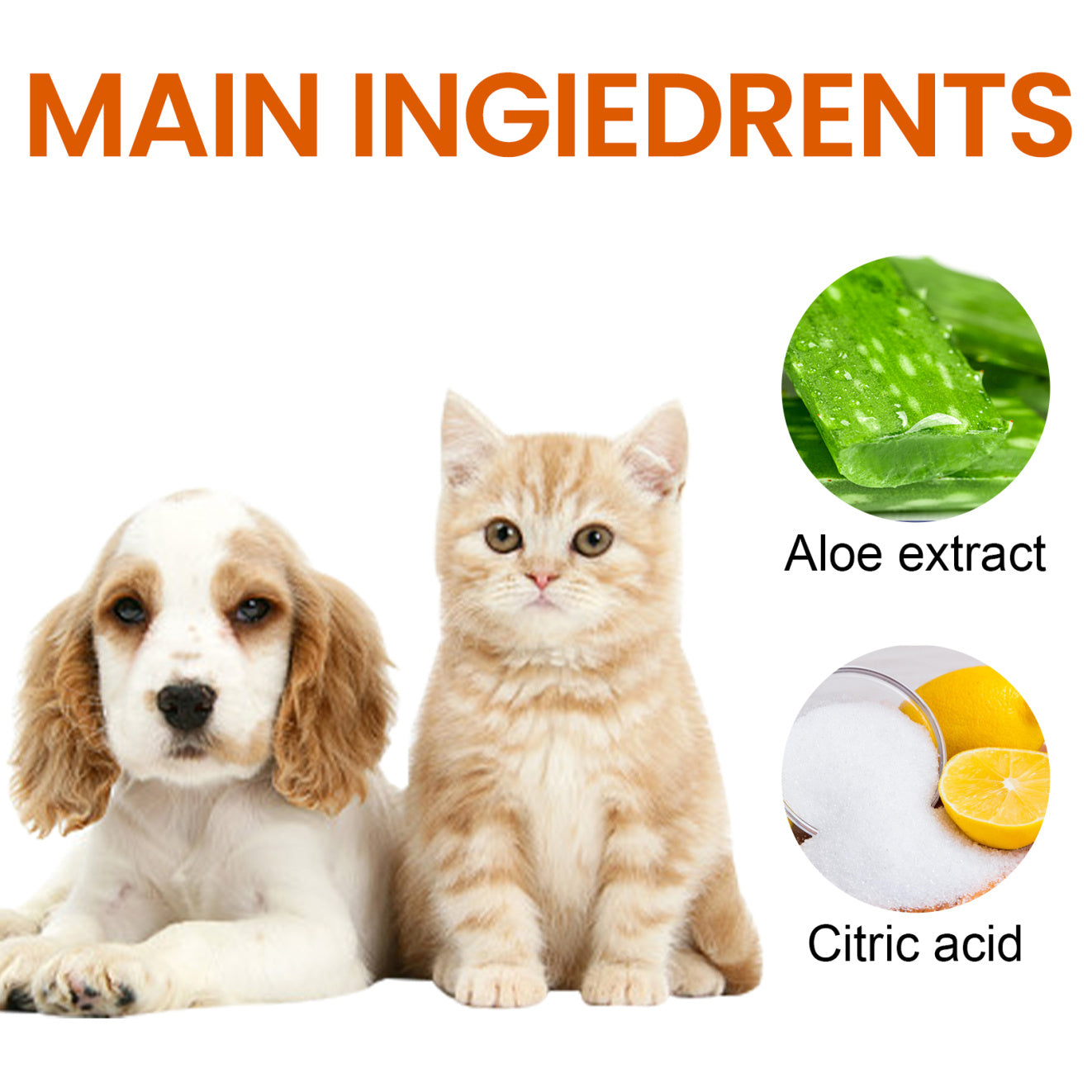 Gentle Ear Wipes for Pets