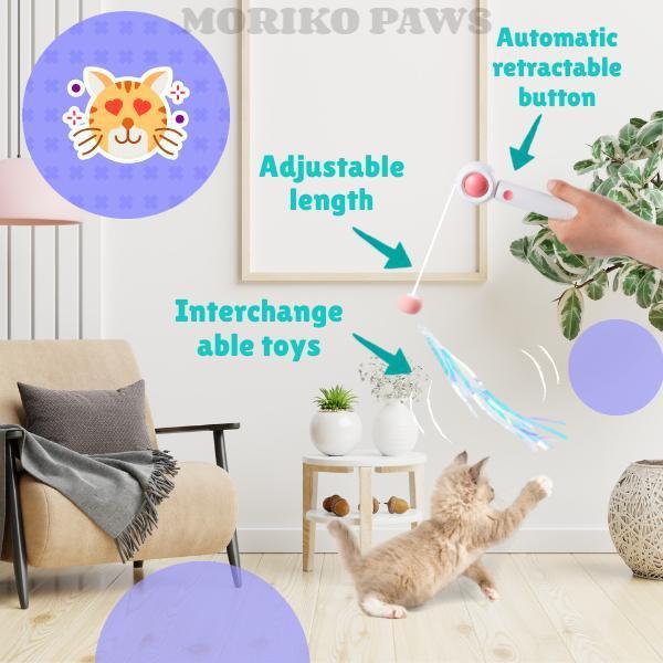 Retractable Cat Laser Teaser Wand with Toy Balls