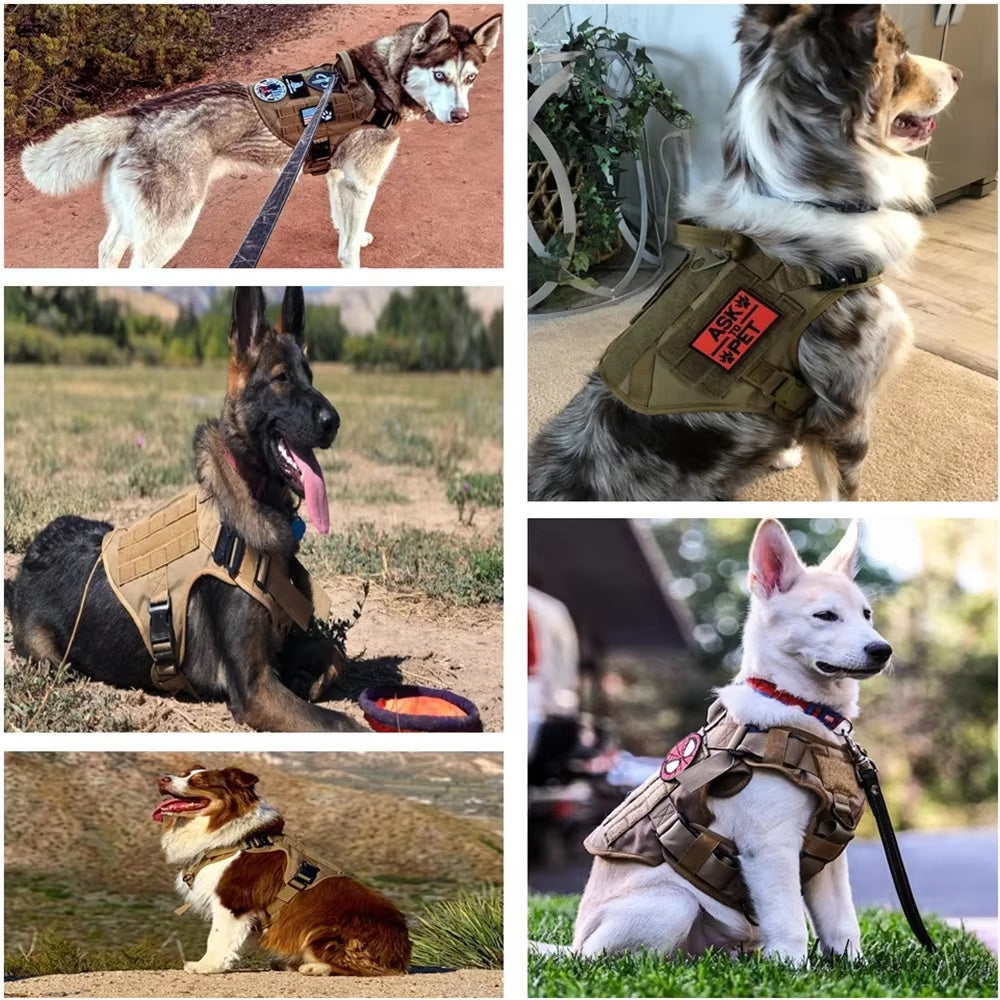 Camouflage Dog Harness & Leash Set