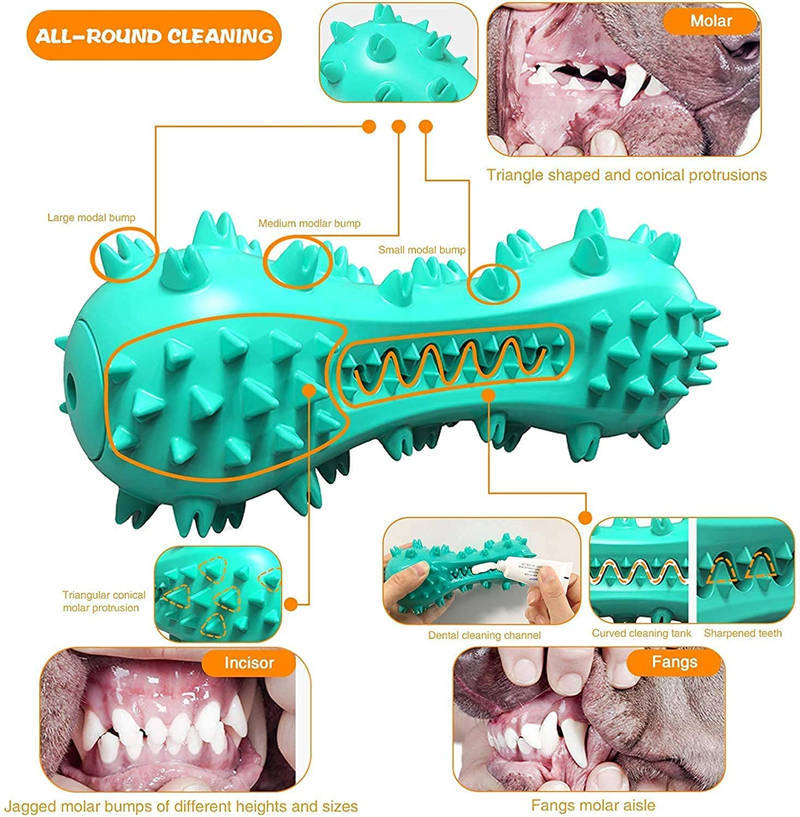 Rubber Molar Stick Chew Toy for Dogs
