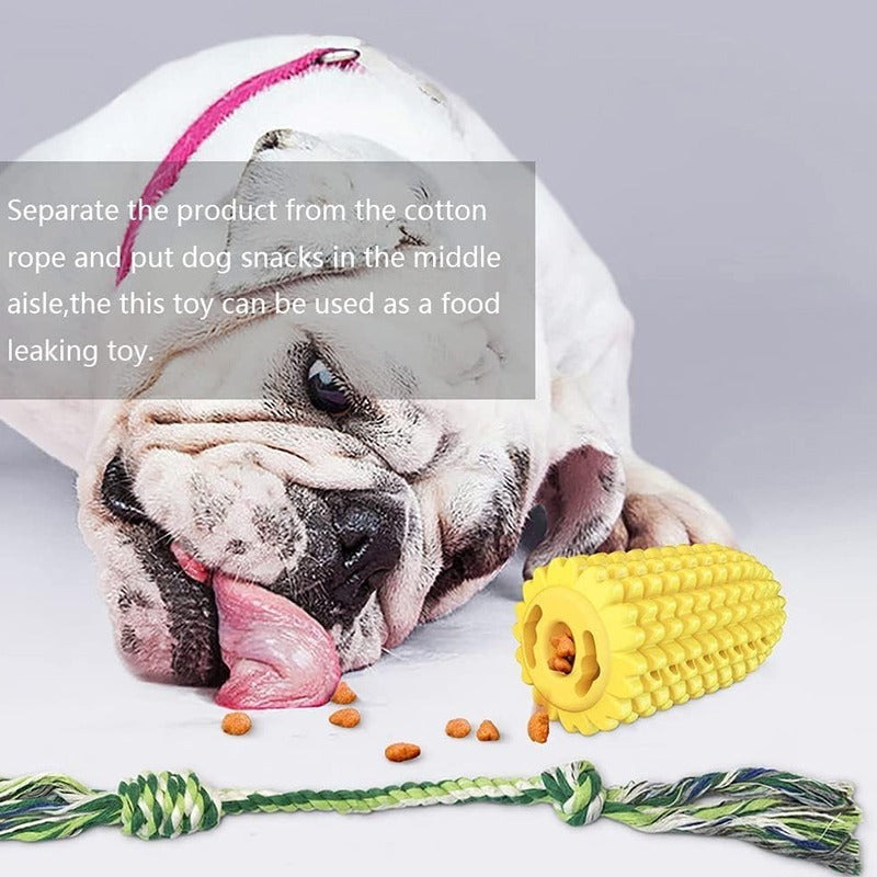 Corn Chew Toy for Dogs