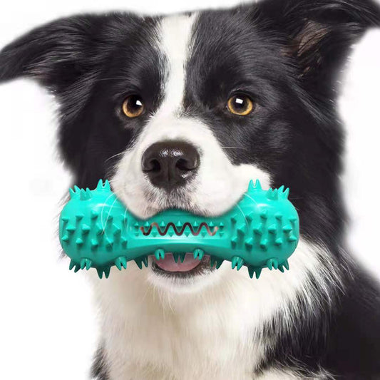 Rubber Molar Stick Chew Toy for Dogs