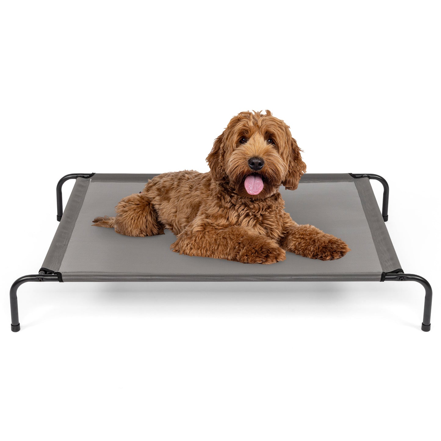 Cozy Pet Bed