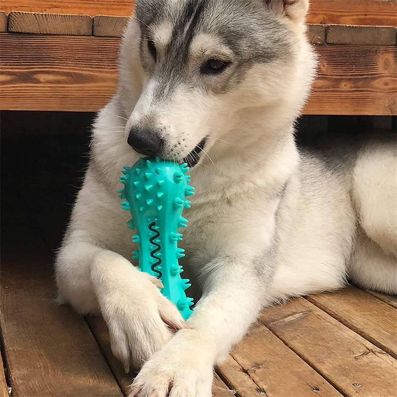 Rubber Molar Stick Chew Toy for Dogs