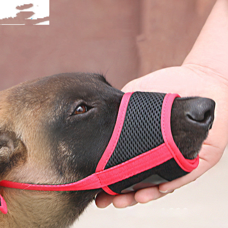 Gentle Mouth Cover for Large Labradors